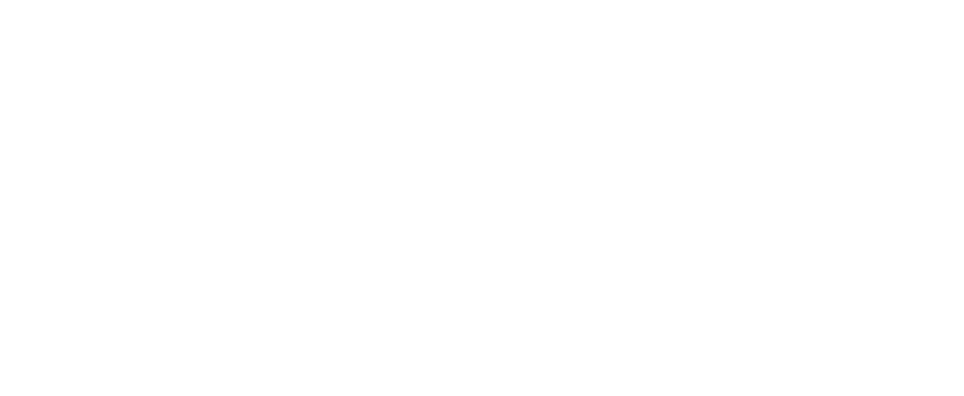 Logo Header